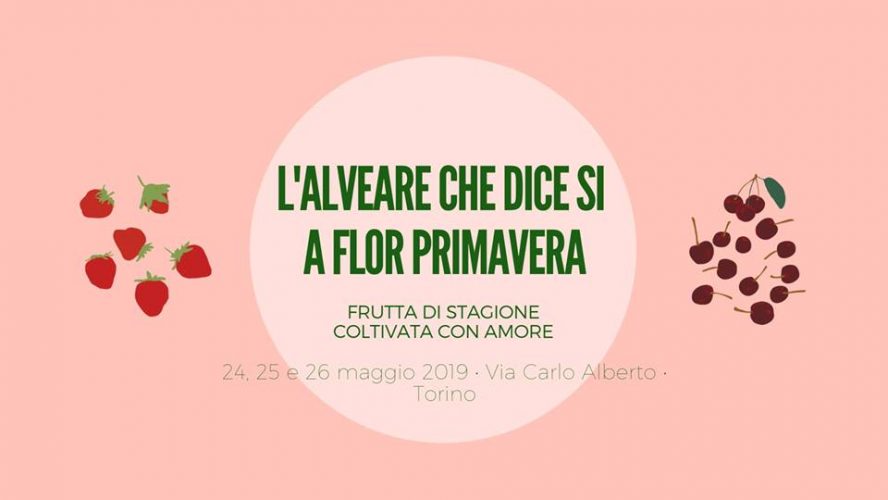 flor torino